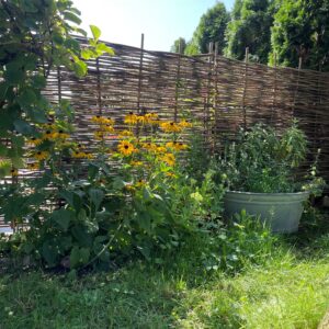 Gartenzaun Haselnuss